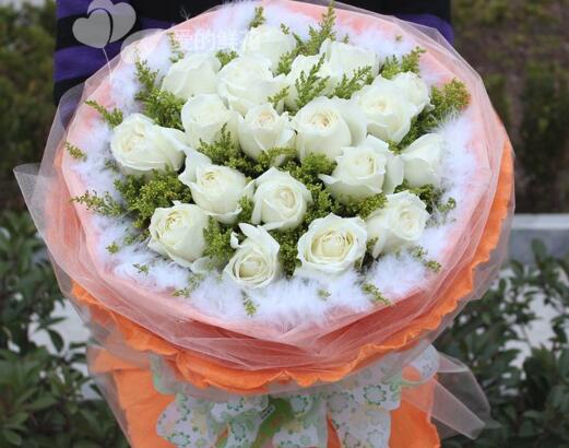 道歉送什么花，給女朋友道歉送花