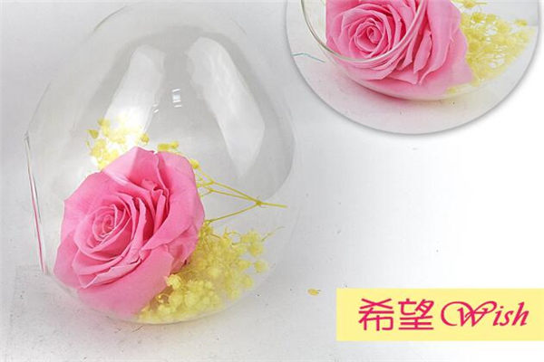 過生日送什么好，朋友過生日送什么好