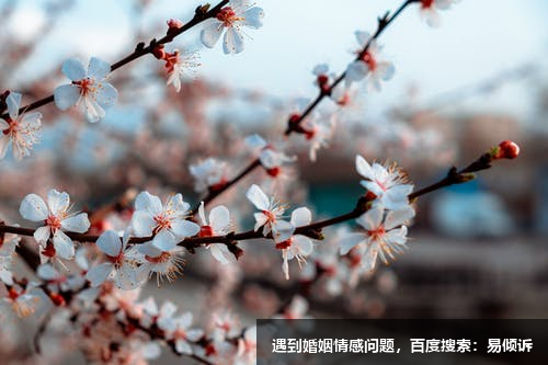 超級撩人的情話套路，史上最撩人的詩詞情話