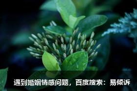 如果想和對方分手了，不妨先看看這些話