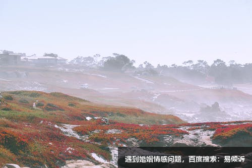 楊佳佳心理咨詢師-擅長人本主義取向，認(rèn)知行為療法