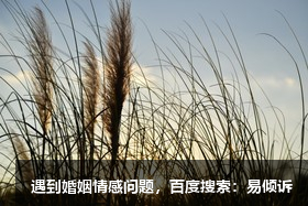 馬克吐溫：愛(ài)情到來(lái)的時(shí)候，你既不能和它理論，也不能跟它講價(jià)錢(qián)