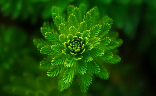 老公花心老婆該怎么應(yīng)對他?五招教你治花心老公!