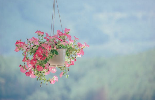 為什么我會(huì)討厭金錢(qián)，花錢(qián)沒(méi)有節(jié)制，是消費(fèi)上癮行為？